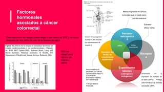 Factores
hormonales
asociados a cáncer
colorrectal
Receptor
estrogenico
β
Experimento
ratones
(estrogenos
enfogenos)
Receptor del
factor de
crecimiento
epidérmico
Receptor
a
Inhibe
crecimiento
Idea
bloqueo de la progresión
de fase G1 a S inducida
por sobreexpresión de
receptor β
Incremento en la
expresión de receptor en
el tejido blanco. Protege
ante formación de tumores
asociados a APC.
Estradiol
efecto trofico
Menos expresión en células
tumorales que en tejido sano
(perdida selectiva)
Esta reducción de riesgo puede llegar a ser hasta de 30% y se inicia
después de tres años de uso de la terapia de reem
mal pronóstico en
pacientes con cáncer
colorrectal en etapa IV
y localmente
avanzados tratados
con radioterapia.
= terapia blanco
molecular
40% en
riesgo para
cáncer de
mama y
200%
 