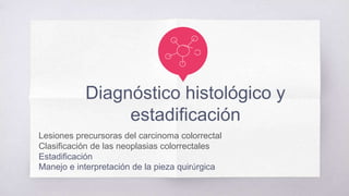 Diagnóstico histológico y
estadificación
Lesiones precursoras del carcinoma colorrectal
Clasificación de las neoplasias colorrectales
Estadificación
Manejo e interpretación de la pieza quirúrgica
 