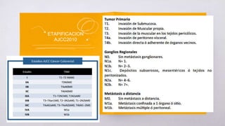 ETAPIFICACION
AJCC2010
 