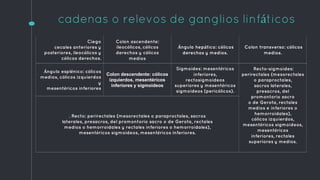 cadenas o relevos de ganglios linfáticos
Ciego
cecales anteriores y
posteriores, ileocólicos y
cólicos derechos.
Colon ascendente:
ileocólicos, cólicos
derechos y cólicos
medios
Ángulo hepático: cólicos
derechos y medios.
Colon transverso: cólicos
medios.
Ángulo esplénico: cólicos
medios, cólicos izquierdos
y
mesentéricos inferiores
Colon descendente: cólicos
izquierdos, mesentéricos
inferiores y sigmoideos
Sigmoides: mesentéricos
inferiores,
rectosigmoideos
superiores y mesentéricos
sigmoideos (pericólicos).
Recto-sigmoides:
perirectales (mesorectales
o paraproctales,
sacros laterales,
presacros, del
promontorio sacro
o de Gerota, rectales
medios e inferiores o
hemorroidales),
cólicos izquierdos,
mesentéricos sigmoideos,
mesentéricos
inferiores, rectales
superiores y medios.
. Recto: perirectales (mesorectales o paraproctales, sacros
laterales, presacros, del promontorio sacro o de Gerota, rectales
medios o hemorroidales y rectales inferiores o hemorroidales),
mesentéricos sigmoideos, mesentéricos inferiores.
 