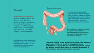 Thanks!
Hernicolectomía derecha.
Incluye la resección de los
últimos 8 cm del íleo
terminal, colon ascendente,
flexura hepática, hasta
antes de la arteria cólica
media, está indicada para
tumores de la región de
ciego y colon ascendente.
Hemicolectomía derecha extendida.
Incluye lo anterior más resección de
cólica media en su base y los 2/3
proximales del colon transverso.
evacuaciones diarreicas.
Colectomía transversa.
Hemicolectomía izquierda. La
resección abarca la parte distal del
colon transverso, ligadura de la rama
derecha de la cólica media y todo el
colon descendente hasta sigmoides,
asimismo, ligadura de la rama
izquierda de la mesentérica inferior.
Sigmoidectomía. Incluye la resección
de la porción distal del colon
descendente y todo sigmoides, con
ligadura en su base de los vasos
mesentéricos inferiores.
Colectomía subtotal. Incluye la resección de todo el colon dejando la
región rectal, este tipo de cirugía se realiza para lesiones
multicéntricas o para aquellas que coinciden con poliposis, siempre
que la región del recto tenga menos de 20 pólipos, en este caso se
debe considerar la proctocolectomía con reservorio.
 
