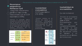 Mecanismos mutacionales asociados al desarrollo de CCR
Mecanismos
epigenéticos
Metilacion CpG
(segundo mecanismo
genético más común
relacionado con el CCR
esporádico (15%).
inactivan la expresión génica
incluyendo la metilación de las islas
CpG en secuencias promotoras y
modificaciones en proteínas como
las histonas e hipometilación global;
se ha reportado que ocurren en
estadios tempranos de la
carcinogénesis colorrectal.
Inestabilidad
cromosómica
(CCR esporádico
(70-85%)
Diversos cambios en el
número de copias y la
estructura cromosómica,
ocasionando pérdida de la
heterocigosidad en genes
supresores de tumor y
mutaciones en
protooncogenes.
Inestabilidad de
microsatélites
(La vía mutadora)
Errores en el sistema
de reparación por
daño al ADN.
Principalmente por
fallo en la
complementariedad
de bases, lo que
genera la expansión
de secuencias cortas
en tándem y un
aumento en el número
de mutaciones.
 