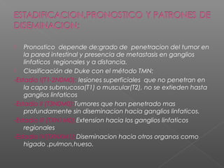    Pronostico depende de:grado de penetracion del tumor en
    la pared intestinal y presencia de metastasis en ganglios
    linfaticos regionales y a distancia.
   Clasificación de Duke con el método TMN:
-Estadio I(T1-2N0M0): lesiones superficiales que no penetran en
    la capa submucosa(T1) o muscular(T2), no se extieden hasta
    ganglios linfaticos
-Estadio II (T3N0M0):Tumores que han penetrado mas
    profundamente sin diseminacion hacia ganglios linfaticos.
-Estadio III (TXN1M0):Extension hacia los ganglios linfaticos
    regionales
-Estadio IV(TXNXM1):Diseminacion hacia otros organos como
    higado ,pulmon,hueso.
 
