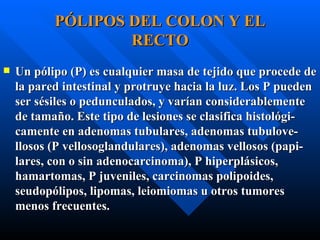 PÓLIPOS DEL COLON Y EL RECTO ,[object Object]