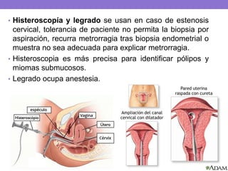 • Histeroscopía y legrado se usan en caso de estenosis
cervical, tolerancia de paciente no permita la biopsia por
aspiración, recurra metrorragia tras biopsia endometrial o
muestra no sea adecuada para explicar metrorragia.
• Histeroscopia es más precisa para identificar pólipos y
miomas submucosos.
• Legrado ocupa anestesia.
 