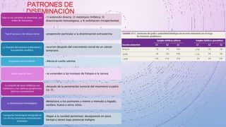 PATRONES DE
DISEMINACIÓN
•1) extensión directa; 2) metástasis linfática; 3)
diseminación hematógena, y 4) exfoliación intraperitoneal.
tipo I y sus variantes se diseminan, por
orden de frecuencia,
•propensión particular a la diseminación extrauterina
Tipo II serosos y de células claras
•ocurren después del crecimiento inicial de un cáncer
temprano.
La invasión del estroma endometrial y
la expansión exofítica:
•Afecta el cuello uterino
segmento uterino inferior:
•se extienden a las trompas de Falopio o la serosa
parte superior útero:
•después de la penetración tumoral del miometrio (cuadro
33-7).
La invasión de vasos linfáticos con
metástasis a las cadenas ganglionares
pélvicas y paraaórticas
•Metástasis a los pulmones y menos a menudo a hígado,
cerebro, hueso y otros sitios.
La diseminación hematógena:
•llegan a la cavidad peritoneal, desaparecen en poco
tiempo y tienen bajo potencial maligno
transporte transtubario retrógrado de
las células cancerosas endometriales
exfoliadas:
 