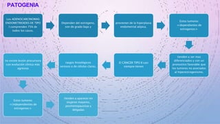 PATOGENIA
Los ADENOCARCINOMAS
ENDOMETRIOIDES DE TIPO
I comprenden 75% de
todos los casos.
Dependen del estrógeno,
son de grado bajo y
provienen de la hiperplasia
endometrial atípica.
Estos tumores
≪dependientes de
estrogenos≫
tienden a ser mas
diferenciados y con un
pronostico favorable que
los tumores no asociados
al hiperestrogenismo.
El CÁNCER TIPO II casi
siempre tienen
rasgos histológicos
serosos o de células claras,
no existe lesión precursora
con evolución clínica más
agresiva
Estos tumores
≪independientes de
estrogenos≫
tienden a aparecer en
mujeres mayores,
posmenopausicas y
delgadas
 