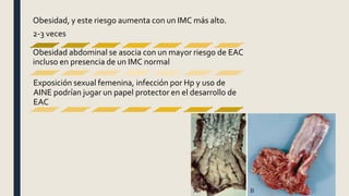 Obesidad, y este riesgo aumenta con un IMC más alto.
2-3 veces
Obesidad abdominal se asocia con un mayor riesgo de EAC
incluso en presencia de un IMC normal
Exposición sexual femenina, infección por Hp y uso de
AINE podrían jugar un papel protector en el desarrollo de
EAC
 