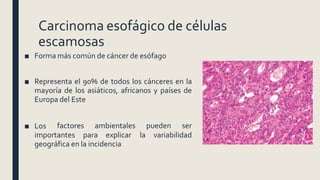 Carcinoma esofágico de células
escamosas
■ Forma más común de cáncer de esófago
■ Representa el 90% de todos los cánceres en la
mayoría de los asiáticos, africanos y países de
Europa del Este
■ Los
importantes para explicar
factores ambientales pueden ser
la variabilidad
geográfica en la incidencia
 