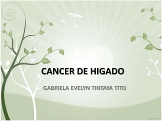 CANCER DE HIGADO
GABRIELA EVELYN TINTAYA TITO
 