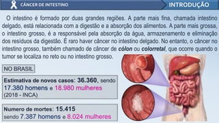 O intestino é formado por duas grandes regiões. A parte mais fina, chamada intestino
delgado, está relacionada com a digestão e a absorção dos alimentos. A parte mais grossa,
o intestino grosso, é a responsável pela absorção da água, armazenamento e eliminação
dos resíduos da digestão. É raro haver câncer no intestino delgado. No entanto, o câncer no
intestino grosso, também chamado de câncer de cólon ou colorretal, que ocorre quando o
tumor se localiza no reto ou no intestino grosso.
INTRODUÇÃOCÂNCER DE INTESTINO
2
Numero de mortes: 15.415
sendo 7.387 homens e 8.024 mulheres
Estimativa de novos casos: 36.360, sendo
17.380 homens e 18.980 mulheres
(2018 - INCA)
 