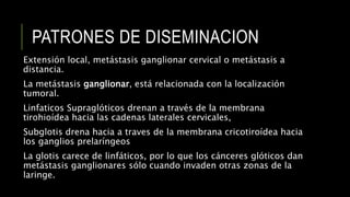 PATRONES DE DISEMINACION
Extensión local, metástasis ganglionar cervical o metástasis a
distancia.
La metástasis ganglionar, está relacionada con la localización
tumoral.
Linfaticos Supraglóticos drenan a través de la membrana
tirohioídea hacia las cadenas laterales cervicales,
Subglotis drena hacia a traves de la membrana cricotiroídea hacia
los ganglios prelaríngeos
La glotis carece de linfáticos, por lo que los cánceres glóticos dan
metástasis ganglionares sólo cuando invaden otras zonas de la
laringe.
 