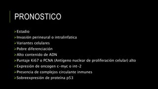 PRONOSTICO
Estadio
Invasión perineural o intralinfatica
Variantes celulares
Pobre diferenciación
Alto contenido de ADN
Puntaje Ki67 o PCNA (Antígeno nuclear de proliferación celular) alto
Expresión de oncogen c-myc o int-2
Presencia de complejos circulante inmunes
Sobreexpresión de proteína p53
 