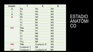 ESTADIO
ANATÓMI
CO
Estadio T N M
0 Tis N0 M0
I T1 N0 M0
II T2 N0 M0
III T3 N0 M0
T1 N1 M0
T2 N1 M0
T3 N1 M0
IVA T4a N0 M0
T4a N1 M0
T1 N2 M0
T2 N2 M0
T3 N2 M0
T4a N2 M0
IVB T4b Cualquier N M0
Cualquier T N3 M0
IVC Cualquier T Cualquier N M1
 