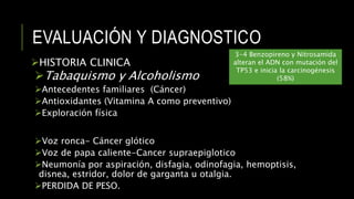 EVALUACIÓN Y DIAGNOSTICO
HISTORIA CLINICA
Tabaquismo y Alcoholismo
Antecedentes familiares (Cáncer)
Antioxidantes (Vitamina A como preventivo)
Exploración física
Voz ronca- Cáncer glótico
Voz de papa caliente-Cancer supraepiglotico
Neumonía por aspiración, disfagia, odinofagia, hemoptisis,
disnea, estridor, dolor de garganta u otalgia.
PERDIDA DE PESO.
3-4 Benzopireno y Nitrosamida
alteran el ADN con mutación del
TP53 e inicia la carcinogénesis
(58%)
 