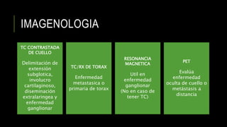 IMAGENOLOGIA
TC CONTRASTADA
DE CUELLO
Delimitación de
extensión
subglotica,
involucro
cartilaginoso,
diseminación
extralaringea y
enfermedad
ganglionar
TC/RX DE TORAX
Enfermedad
metastasica o
primaria de torax
RESONANCIA
MAGNETICA
Util en
enfermedad
ganglionar
(No en caso de
tener TC)
PET
Evalúa
enfermedad
oculta de cuello o
metástasis a
distancia
 