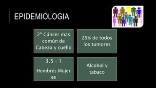 EPIDEMIOLOGIA
2º Cáncer mas
común de
Cabeza y cuello
25% de todos
los tumores
3.5 : 1
Hombres:Mujer
es
Alcohol y
tabaco
 