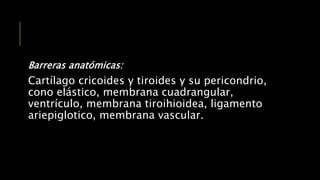 Barreras anatómicas:
Cartílago cricoides y tiroides y su pericondrio,
cono elástico, membrana cuadrangular,
ventrículo, membrana tiroihioidea, ligamento
ariepiglotico, membrana vascular.
 