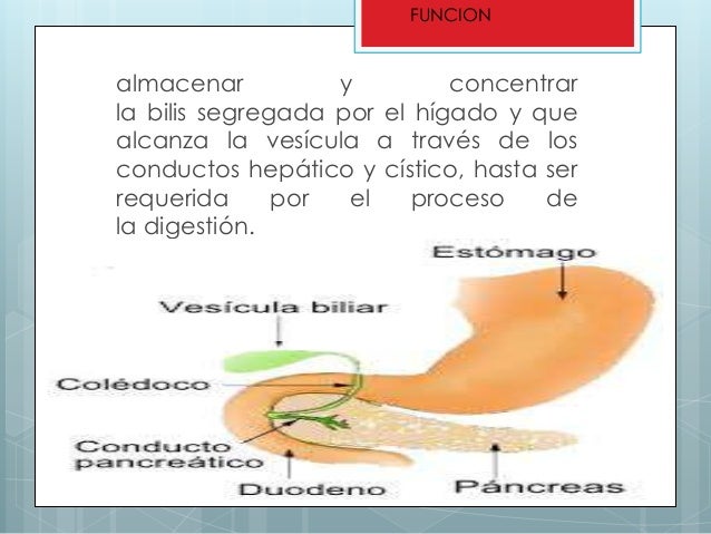 Duele bajo el corazón da en la espalda