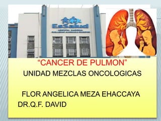 “CANCER DE PULMON”
UNIDAD MEZCLAS ONCOLOGICAS
FLOR ANGELICA MEZA EHACCAYA
DR.Q.F. DAVID
 