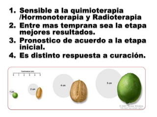 1. Sensible a la quimioterapia
   /Hormonoterapia y Radioterapia
2. Entre mas temprana sea la etapa
   mejores resultados.
3. Pronostico de acuerdo a la etapa
   inicial.
4. Es distinto respuesta a curación.
 