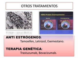 OTROS TRATAMIENTOS




ANTI ESTRÓGENOS:
       Tamoxifen, Letrozol, Exemestano.

TERAPIA GENÉTICA:
      Trastuzumab, Bevacizumab.
 