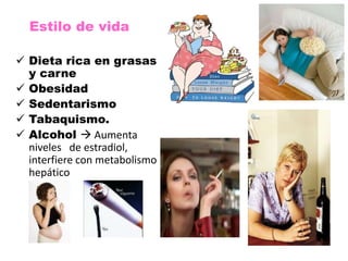 Estilo de vida

 Dieta rica en grasas
  y carne
 Obesidad
 Sedentarismo
 Tabaquismo.
 Alcohol  Aumenta
  niveles de estradiol,
  interfiere con metabolismo
  hepático
 