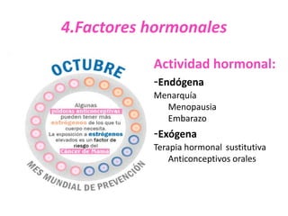 4.Factores hormonales

           Actividad hormonal:
           -Endógena
           Menarquía
             Menopausia
             Embarazo
           -Exógena
           Terapia hormonal sustitutiva
               Anticonceptivos orales
 