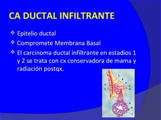 CA DUCTAL INFILTRANTE
 Epitelio ductal
 Compromete Membrana Basal
 El carcinoma ductal infiltrante en estadios 1
  y 2 se trata con cx conservadora de mama y
  radiación postqx.
 