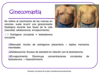 Ginecomastia
Se refiere al crecimiento de las mamas en
varones, suele ocurrir una ginecomastia
fisiológica durante tres fases de la vida
(neonatal, adolescencia, envejecimiento)
 ↑ Estrógeno circulante ≈ testosterona
circulante
Neonatal: Acción de estrógenos placentario – tejidos mamarios
neonatales
Adolescencia: Exceso de estradiol en relación con la testosterona.
Envejecimiento: Disminuye concentraciones circulantes de
testosterona → hiperestrinismo
Schwartz, principios de cirugia /consideraciones especificas.
 