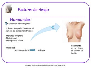 Factores de riesgo
Hormonales
Exposición de estrógenos
 Factores que incrementan el
número de ciclos menstruales:
-Menarca temprana
-Nuliparidad
-Menopausia tardía
-Obesidad
androstenidiona estrona
Incremento
en el riesgo
de cáncer de
mama.
Schwartz, principios de cirugia /consideraciones especificas.
 