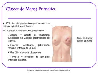 Cáncer de Mama Primario:
 80% fibrosis productiva que incluye los
tejidos epitelial y estrómico.
 ↑ Cáncer – invasión tejido mamario.
 Atrapa y acorta el ligamento
suspensor de Cooper (Retracción de
la piel).
 Edema localizado (alteración
drenaje linfático de la piel)
 Por último ocurre ulceración.
 Tamaño = invasión de ganglios
linfáticos axilares.
Schwartz, principios de cirugia /consideraciones especificas.
 