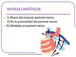 NIVELES LINFÁTICOS
 I) Afuera del músculo pectoral menor.
 II) En la profundidad del pectoral menor.
 III) Mediales al pectoral menor.
Schwartz, principios de cirugia /consideraciones especificas.
 