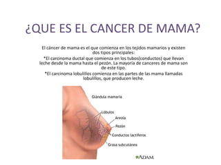 ¿QUE ES EL CANCER DE MAMA?
El cáncer de mama es el que comienza en los tejidos mamarios y existen
dos tipos principales:
*El carcinoma ductal que comienza en los tubos(conductos) que llevan
leche desde la mama hasta el pezón. La mayoría de canceres de mama son
de este tipo.
*El carcinoma lobulillos comienza en las partes de las mama llamadas
lobulillos, que producen leche.
 