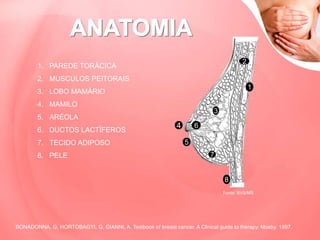 1. PAREDE TORÁCICA
2. MUSCULOS PEITORAIS
3. LOBO MAMÁRIO
4. MAMILO
5. ARÉOLA
6. DUCTOS LACTÍFEROS
7. TECIDO ADIPOSO
8. PELE
1
2
3
4
5
6
7
8
BONADONNA, G, HORTOBAGYI, G, GIANNI, A. Textbook of breast cancer. A Clinical guide to therapy. Mosby. 1997.
Fonte: BVS/MS
 