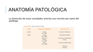 ANATOMÍA PATOLÓGICA
La distinción de estas variedades amerita una revisión por parte del
patólogo
 