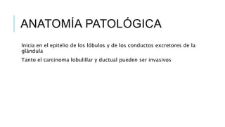 ANATOMÍA PATOLÓGICA
Inicia en el epitelio de los lóbulos y de los conductos excretores de la
glándula
Tanto el carcinoma lobulillar y ductual pueden ser invasivos
 