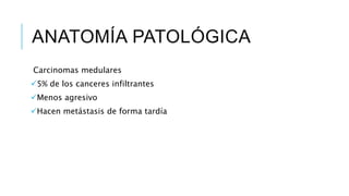 ANATOMÍA PATOLÓGICA
Carcinomas medulares
5% de los canceres infiltrantes
Menos agresivo
Hacen metástasis de forma tardía
 
