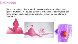 Definición
Es el crecimiento desordenado y no controlado de células con
genes mutados, los cuales actúan estimulando la continuidad del
ciclo celular pertenecientes a distintos tejidos de una glándula
mamaria.
 