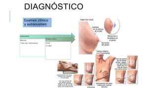 DIAGNÓSTICO
Examen clínico
y autoexamen
autoexamen
Mensual
7 días tras menstruación
Examen clínico
Anual
25 años
 