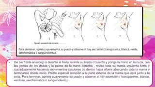 • De pie frente al espejo o durante el baño levante su brazo izquierdo y ponga la mano en la nuca, con
las yemas de los dedos y la palma de la mano derecha , revise toda su mama izquierda firme y
cuidadosamente haciendo movimientos circulares de dentro hacia afuera abarcando toda la mama y
terminando donde inicio. Preste especial atención a la parte externa de la mama que está junto a la
axila. Para terminar, apriete suavemente su pezón y observe si hay secreción ( transparente, blanca,
verdosa, serohemática o sanguinolenta).
 