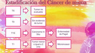 TX
Tumor no
evaluable
T0
Sin evidencia
de tumor
T1S
Carcinoma In
Situ
Enfermedad
de Paget
T1
Tumor menor
o igual a 2
cms
Microinvasor
 
