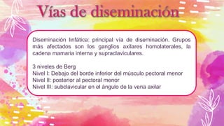 Diseminación linfática: principal vía de diseminación. Grupos
más afectados son los ganglios axilares homolaterales, la
cadena mamaria interna y supraclaviculares.
3 niveles de Berg
Nivel I: Debajo del borde inferior del músculo pectoral menor
Nivel II: posterior al pectoral menor
Nivel III: subclavicular en el ángulo de la vena axilar
 