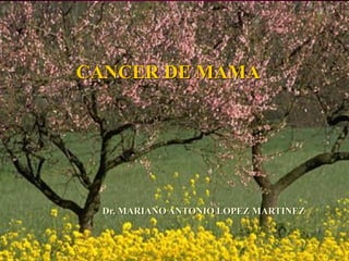CANCER DE MAMA
Dr. MARIANO ANTONIO LOPEZ MARTINEZ
 