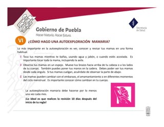 VI
Lo más importante en la autoexploración es ver, conocer y revisar tus mamas en una forma
habitual.
Toca tus mamas mientras te bañas, usando agua y jabón, o cuando estés acostada. Es
importante tocar toda la mama, incluyendo la axila.
Observa tus mamas en un espejo. Mueve tus brazos hacia arriba de tu cabeza o a los lados
de tu cuerpo. También puedes poner tus manos en la cadera. Debes poder ver tus mamas
desde cada ángulo. Si tus mamas cuelgan, acuérdate de observar la parte de abajo.
Las mamas pueden cambiar con el embarazo, el amamantamiento o en diferentes momentos
del ciclo menstrual. Es importante conocer cómo cambian en tu cuerpo.
La autoexploración mamaria debe hacerse por lo menos
una vez cada mes.
¡Lo ideal es que realices la revisión 10 días después del
inicio de tu regla!
¿CÓMO HAGO UNA AUTOEXPLORACIÓN MAMARIA?
 