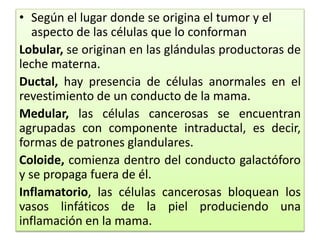• Según el lugar donde se origina el tumor y el
aspecto de las células que lo conforman
Lobular, se originan en las glándulas productoras de
leche materna.
Ductal, hay presencia de células anormales en el
revestimiento de un conducto de la mama.
Medular, las células cancerosas se encuentran
agrupadas con componente intraductal, es decir,
formas de patrones glandulares.
Coloide, comienza dentro del conducto galactóforo
y se propaga fuera de él.
Inflamatorio, las células cancerosas bloquean los
vasos linfáticos de la piel produciendo una
inflamación en la mama.
 