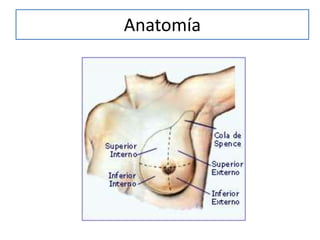 Anatomía
 