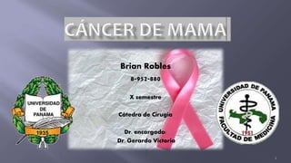 Brian Robles
8-952-880
X semestre
Cátedra de Cirugía
Dr. encargado:
Dr. Gerardo Victoria
1
 