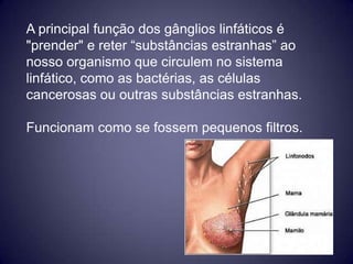 A principal função dos gânglios linfáticos é
"prender" e reter “substâncias estranhas” ao
nosso organismo que circulem no sistema
linfático, como as bactérias, as células
cancerosas ou outras substâncias estranhas.

Funcionam como se fossem pequenos filtros.
 