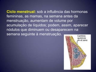 Ciclo menstrual: sob a influência das hormonas
femininas, as mamas, na semana antes da
menstruação, aumentam de volume por
acumulação de líquidos; podem, assim, aparecer
nódulos que diminuem ou desaparecem na
semana seguinte à menstruação.
 